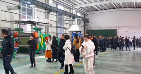 p7.jpg
